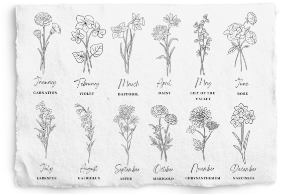 Birth Month Flower Bundle: Premium Graphics & Illustrations