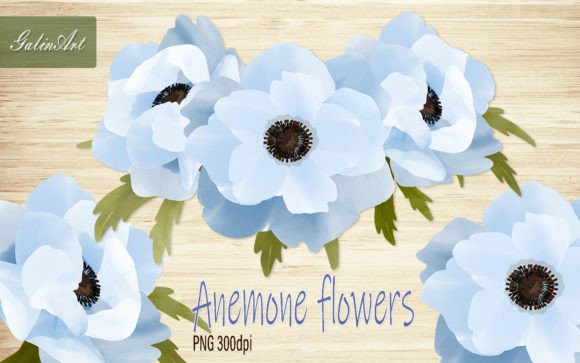 Blue Anemone Watercolor Graphics & Illustrations