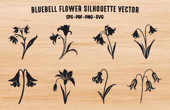 Bluebell Graphics & Illustrations Review