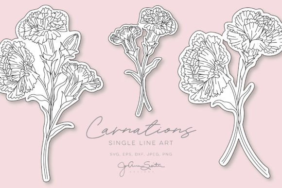 Carnations Single Line SVG Files: Graphics & Illustrations