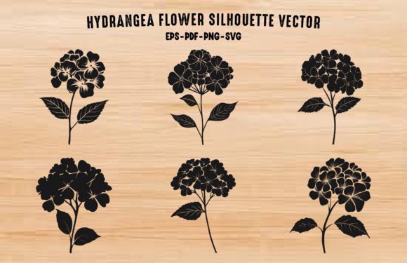 Hydrangea Silhouette Graphics & Illustrations Review