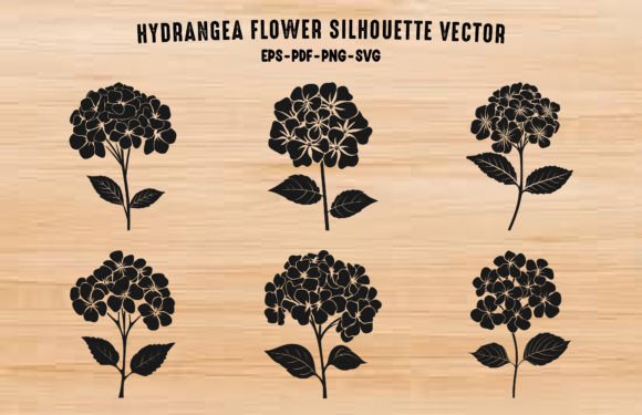 Hydrangea Vector Graphics & Illustrations Review