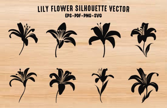 Lily Flower Silhouette Vector Bundle: Graphics & Illustrations