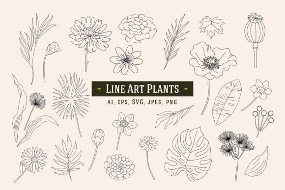 Line Art Plants Flowers: Graphics for Botanical Branding