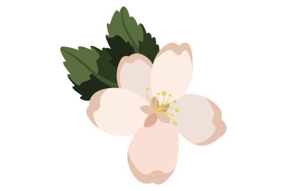 Michigan State Flower - Malus: Crafts & State Flowers