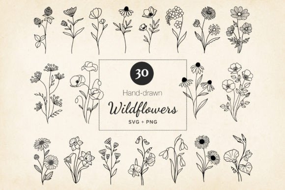 Minimal Wildflowers: Graphics & Illustrations