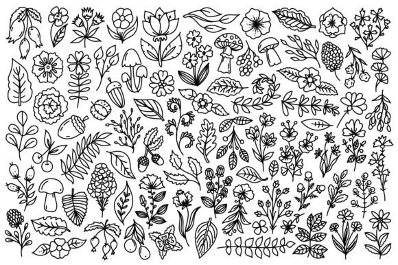 Nature Line Art Illustrations: A Designer's Review