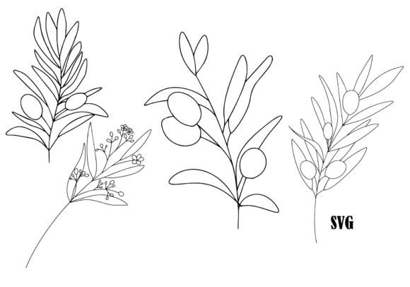 Olive, Flowers, Branches: Premium Graphics & Illustrations