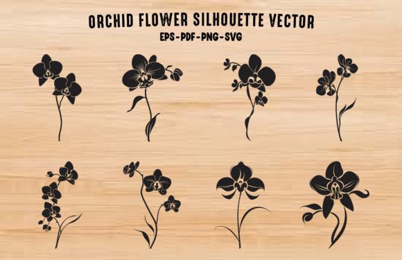 Orchid Vector Silhouettes: Premium Graphics & Illustrations