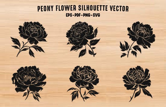 Peony Silhouettes: Premium Graphics & Illustrations