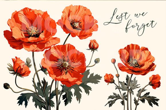 Poppy Flower Graphics: A Seller's Review of These Illustrations