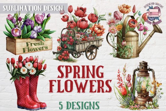 Red Spring Flowers Graphics & Illustrations Review