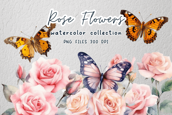 Rose Flowers Watercolor Clipart: Graphics & Illustrations