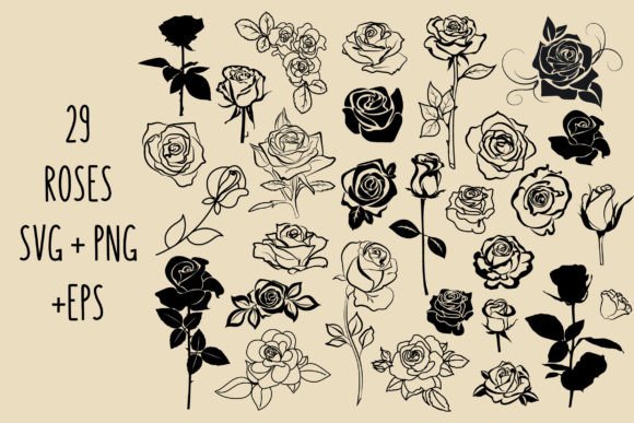 Roses SVG Outline Clipart: Premium Graphics & Illustrations